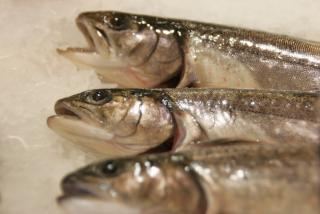 Der Fischladen